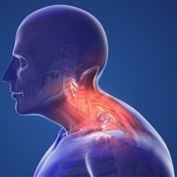 Back & Spine Pain Specialists Long Island